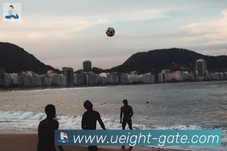 U8国际平台生态图