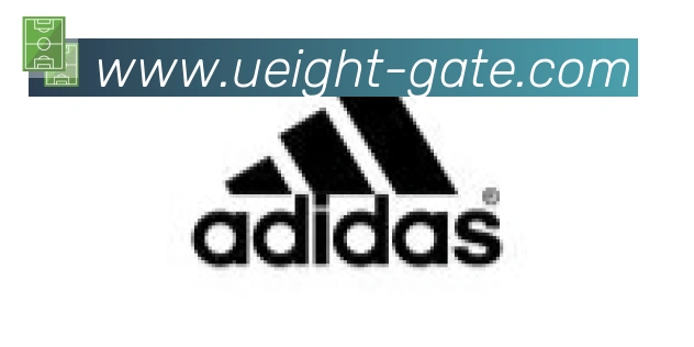 U8国际合作伙伴