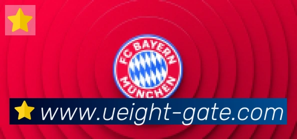 U8国际合作伙伴