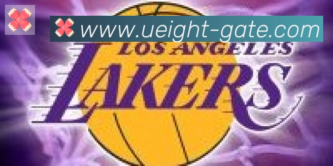 U8国际合作伙伴