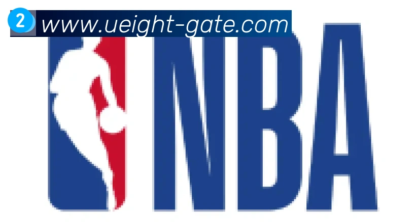 U8国际合作伙伴