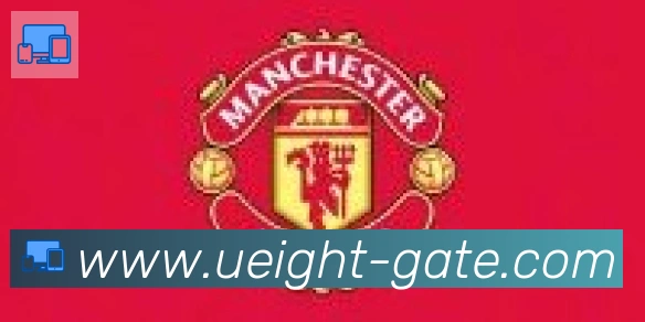 U8国际合作伙伴